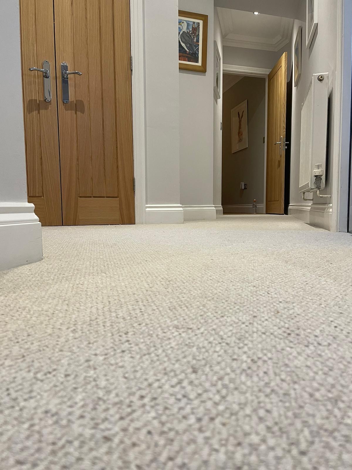 Textured Loop Pile Carpet