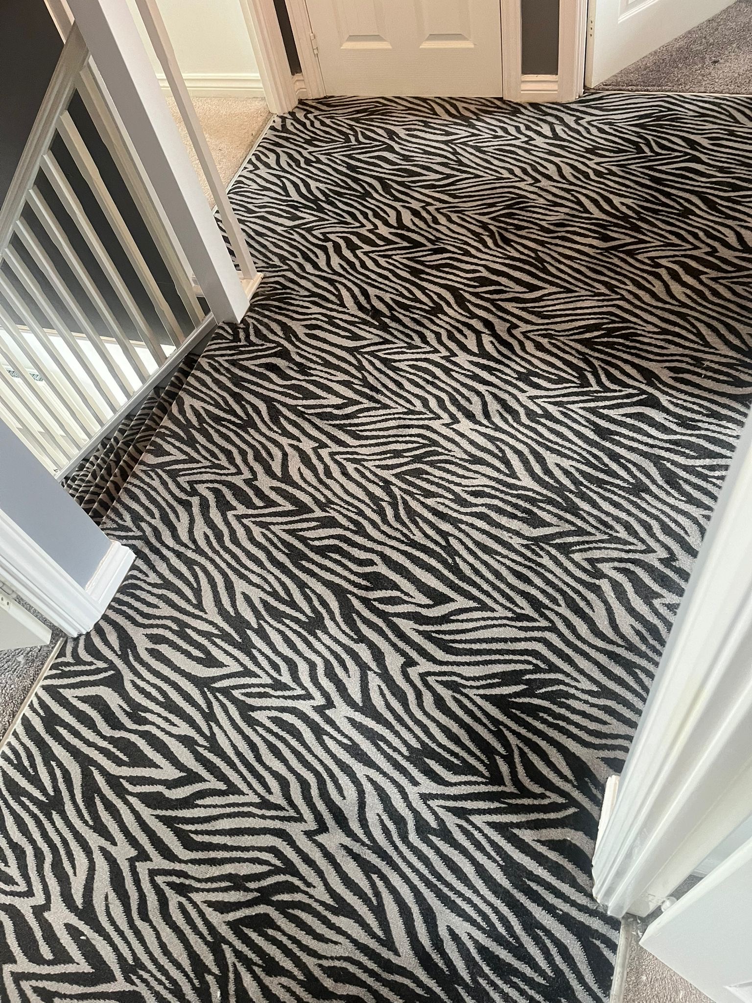 Animal Print Carpet