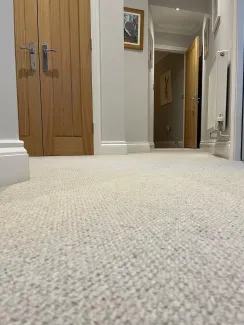 Textured Loop Pile Carpet